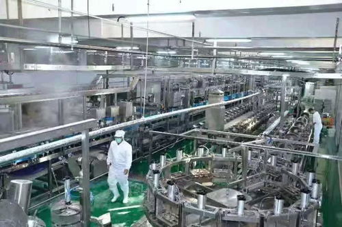 河南南街村豆腐生產線試運行 傳統產業煥新顏，新年運動經營雙輪驅動